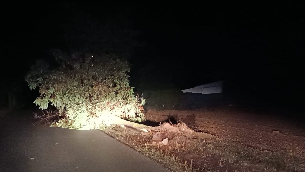 arbol-caido-lluvias-san-isidro