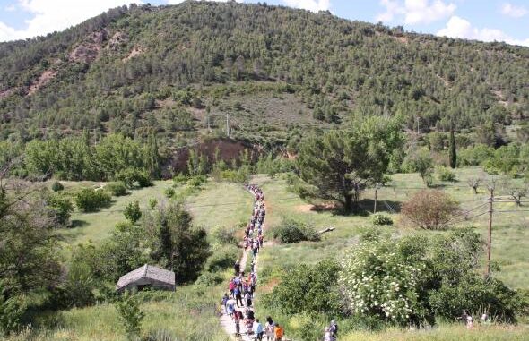 Mas-de-400-personas-han-participado-ya-en-las-primeras-rutas-de-una-nueva-edicion-de-‘7000pasosX
