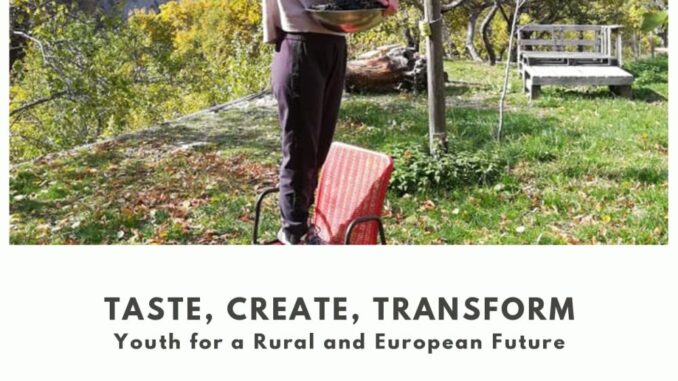¿Quieres-tener-una-experiencia-internacional-que-te-permita-conocer-a-jovenes-de-otros-paises-europeos-y-aprender-y-compartir-en-un-entorno-intercultural