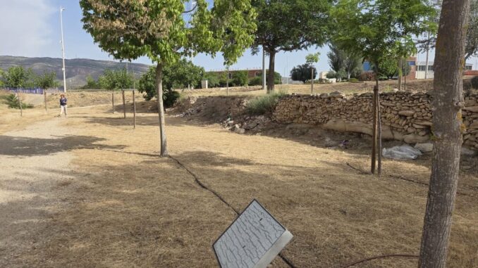 Caudete-actua-sobre-mas-de-55.700-m²-de-parcelas-municipales-y-28-vias-y-caminos-en-su-campana-anual-de-desbroce