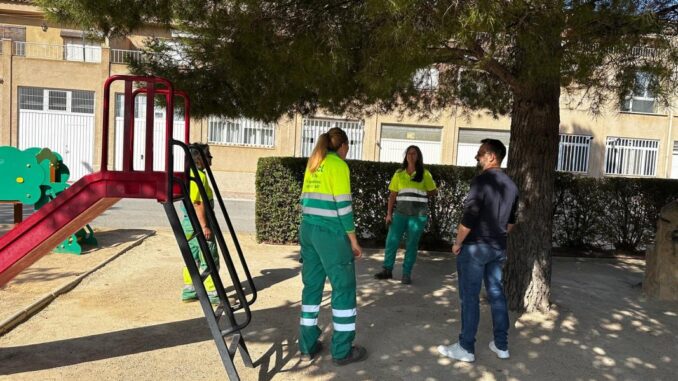 Medio-Ambiente-amplia-el-tratamiento-mediante-endoterapia-para-combatir-la-procesionaria-en-Caudete